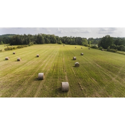 farm-land-hay-bails.jpg