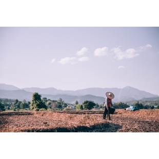 person-prepares-land-to-sow-seeds.jpg